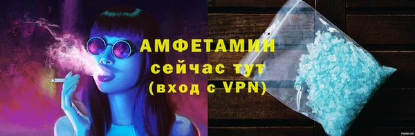 прущие грибы Нея