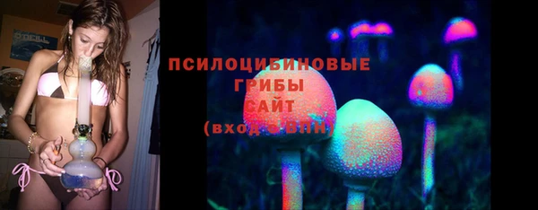 тгк Абдулино