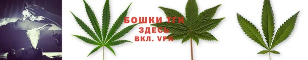 тгк Абдулино