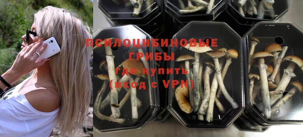 трава Чита